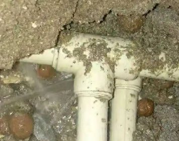 游仙测漏水多少钱