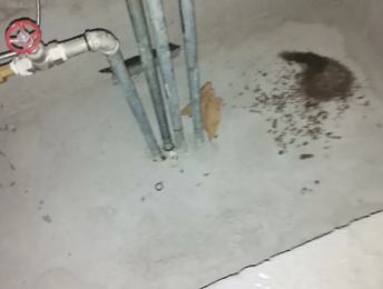 游仙卫生间测漏水价格明细